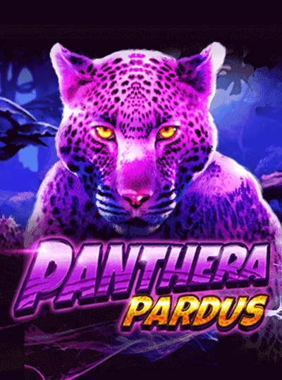 High volatility slot game cover